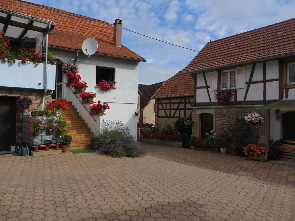 Location Alice Villa Ottrott Exterior photo