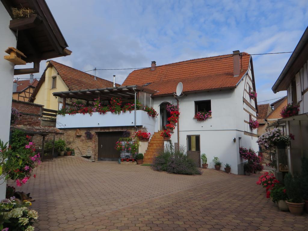 Location Alice Villa Ottrott Exterior photo