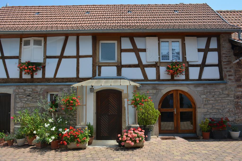 Location Alice Villa Ottrott Exterior photo